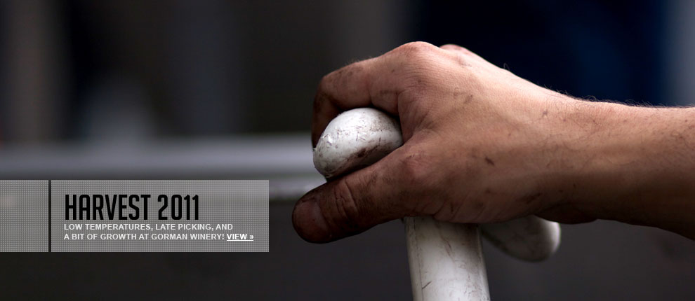 feature_hand